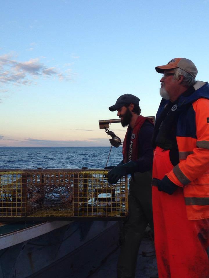 A younger man and an older man looking at the ocean from the deck of a fishing vessel. The younger man is pulling up a lobster trap.