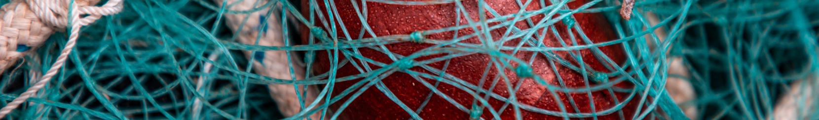 A photograph red buoy wrapped in teal fishing net.